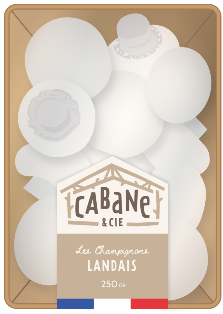 Cabane & Cie Barquette de champignons dessin