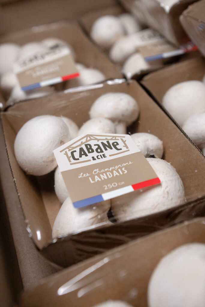 Cabane et Compagnie barquette champignons de Paris