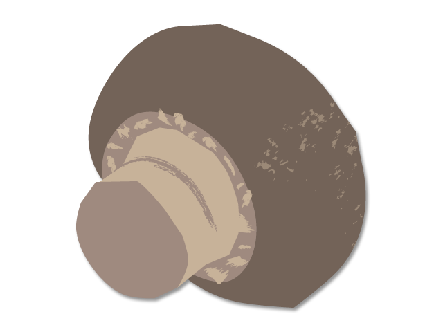 Cabane & Compagnie champignons landais Illustration champignon de Paris Bruns