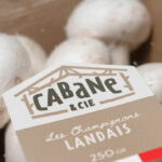 Cabane et Compagnie photo barquette champignons de Paris